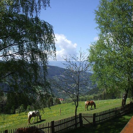 Bauernhof Pension Juri Obergosel Екстер'єр фото