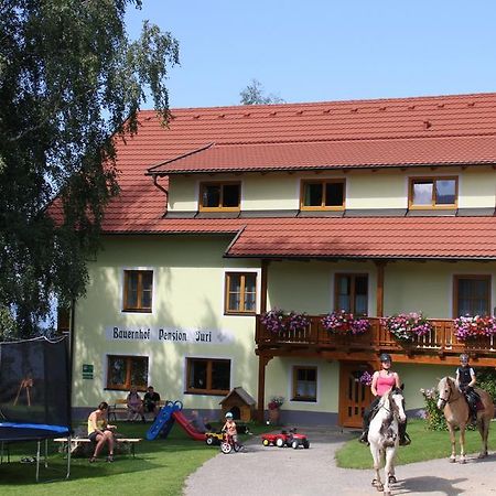 Bauernhof Pension Juri Obergosel Екстер'єр фото
