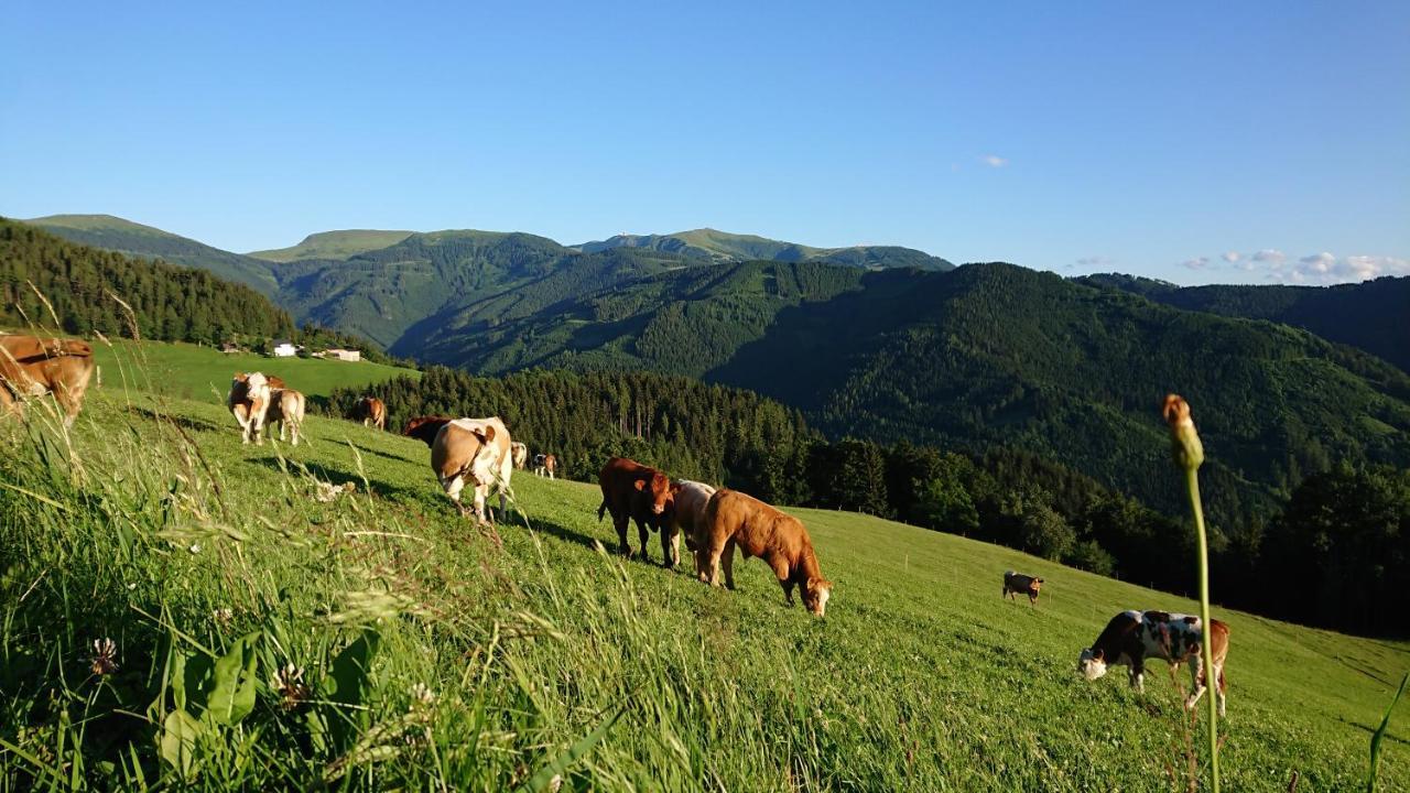Bauernhof Pension Juri Obergosel Екстер'єр фото