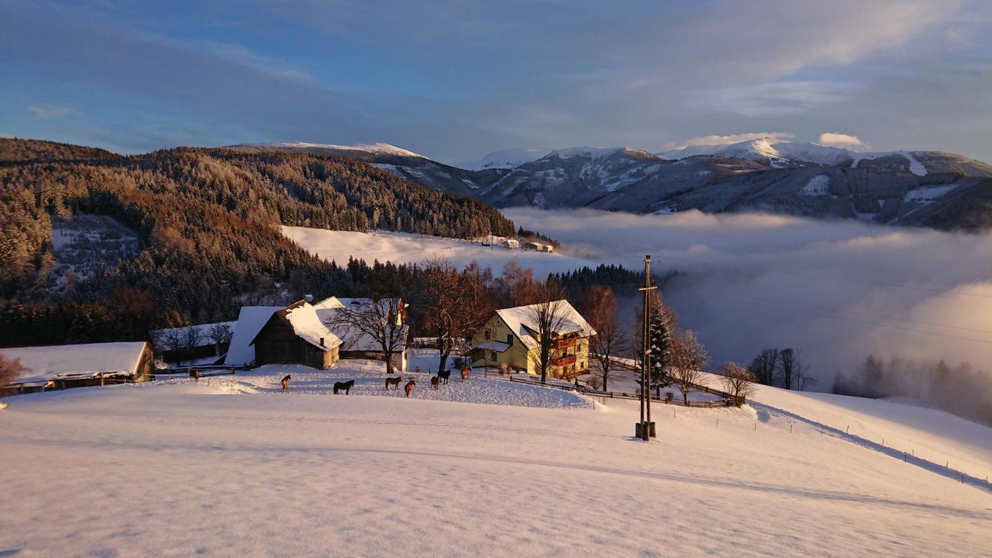 Bauernhof Pension Juri Obergosel Екстер'єр фото