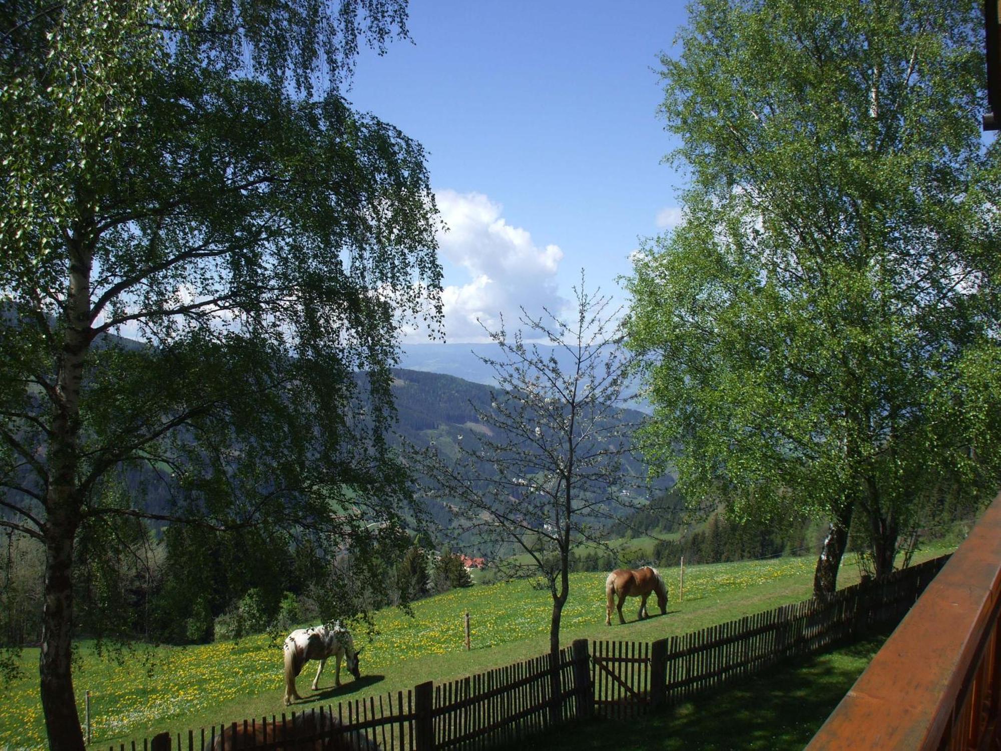 Bauernhof Pension Juri Obergosel Екстер'єр фото