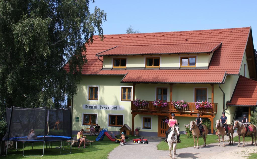 Bauernhof Pension Juri Obergosel Екстер'єр фото